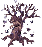 SILVA PAPILIA.gif