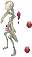 20528.png